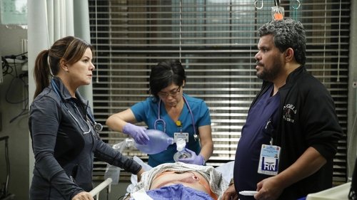 Poster della serie Code Black