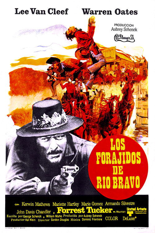 Barquero poster