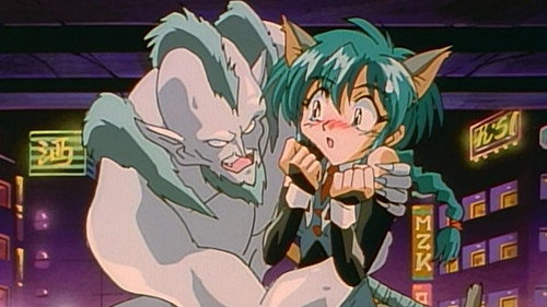 No Time, No Money, No License