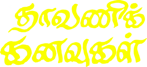 தாவணிக் கனவுகள்