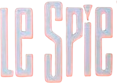 Les Espions