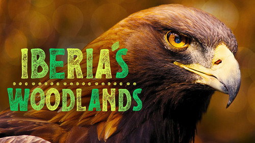 Iberia's Woodlands: Life on the Edge still