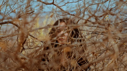 The Ship That Never Lands