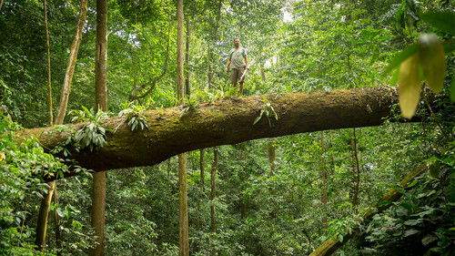 Escena 5 de Primal Survivor: Most Extreme