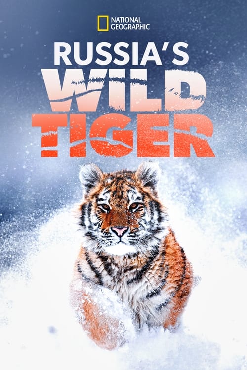 |EN| Russias Wild Tiger