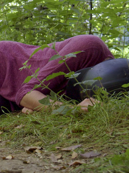 L'arbre qui cache la forêt