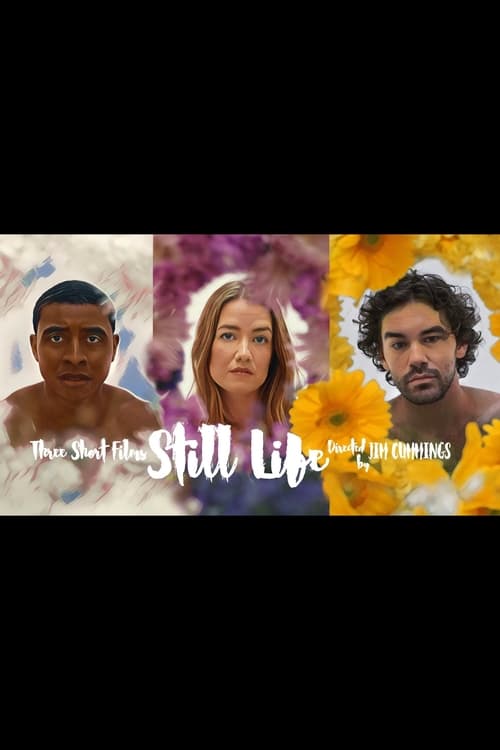 Poster do filme Still Life