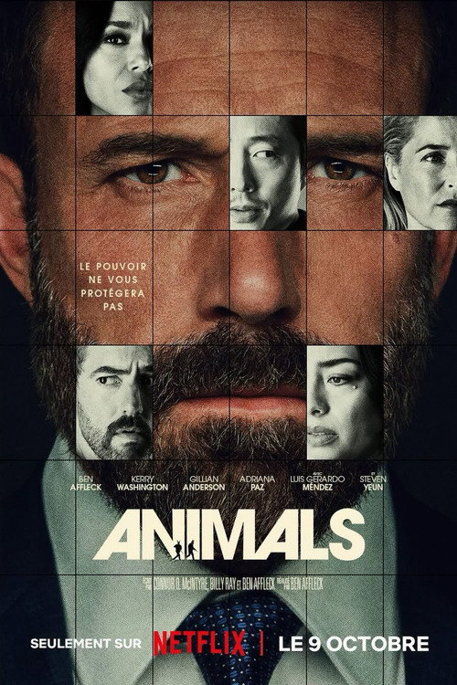 Animals