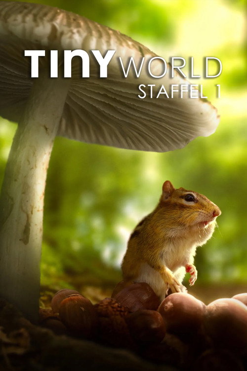 Staffel 1