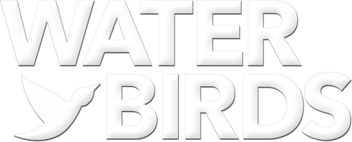Water Birds