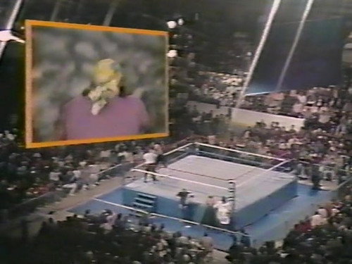 January 30, 1988 - Superstars of Wrestling 74
