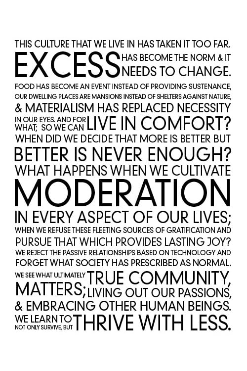 Thrive With Less poster