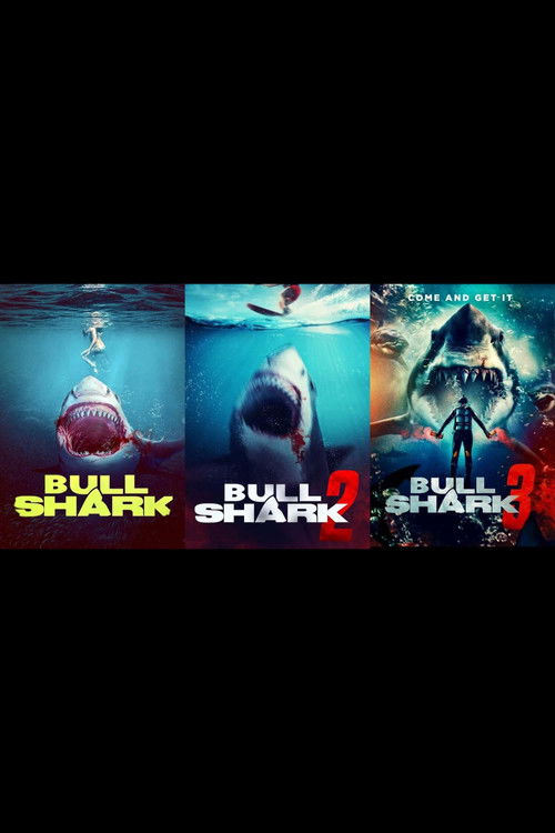 Pòster de Bull Shark Collection
