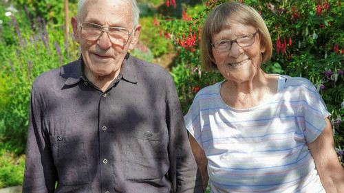 The chrysanthemum garden