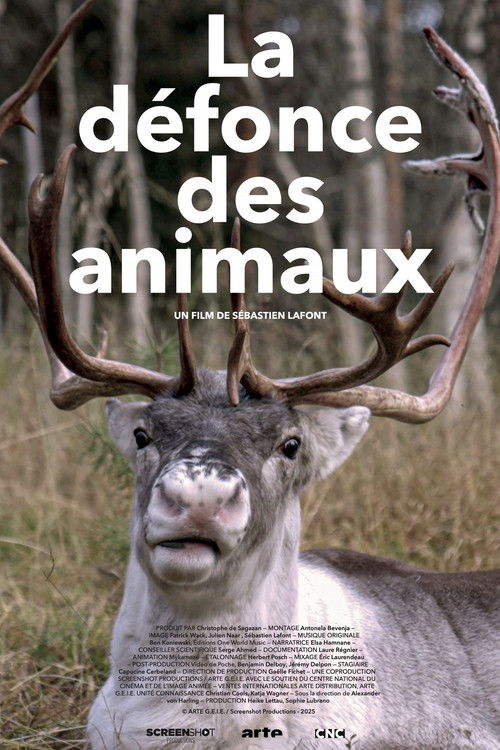 La défonce des animaux poster
