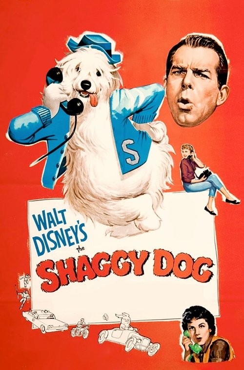 Where to stream The Shaggy Dog