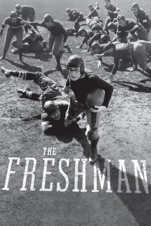 Grootschalige poster van The Freshman