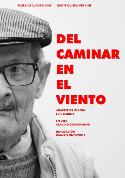 Del caminar en el viento