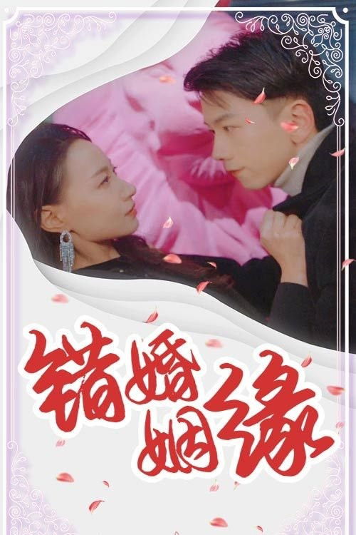 Poster de 错婚姻缘