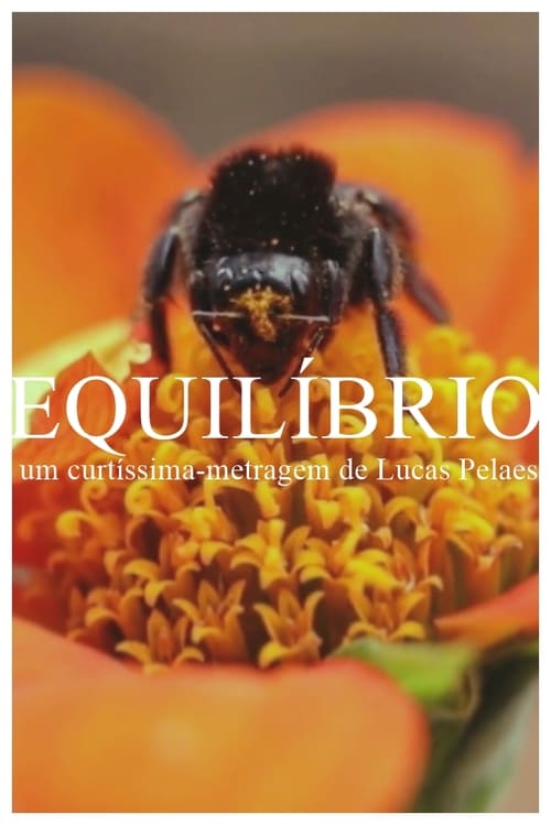 EQUILÍBRIO 2020