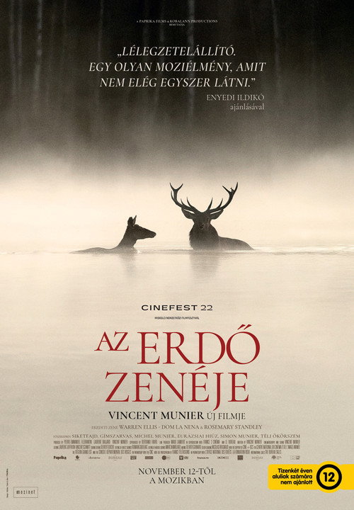 Az erdő zenéje