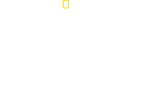 Jade Eyed Leopard - UnLim Play