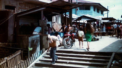 The Wind of Ayahuasca