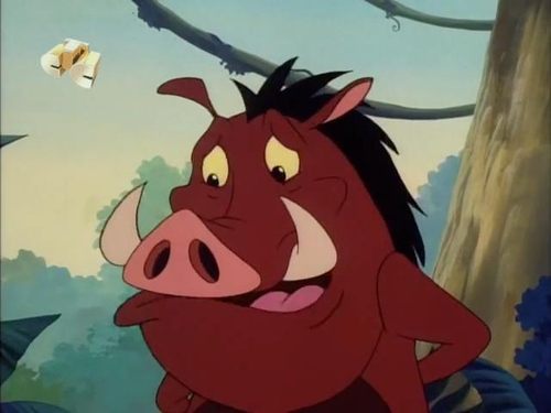 Poster della serie Timon & Pumbaa