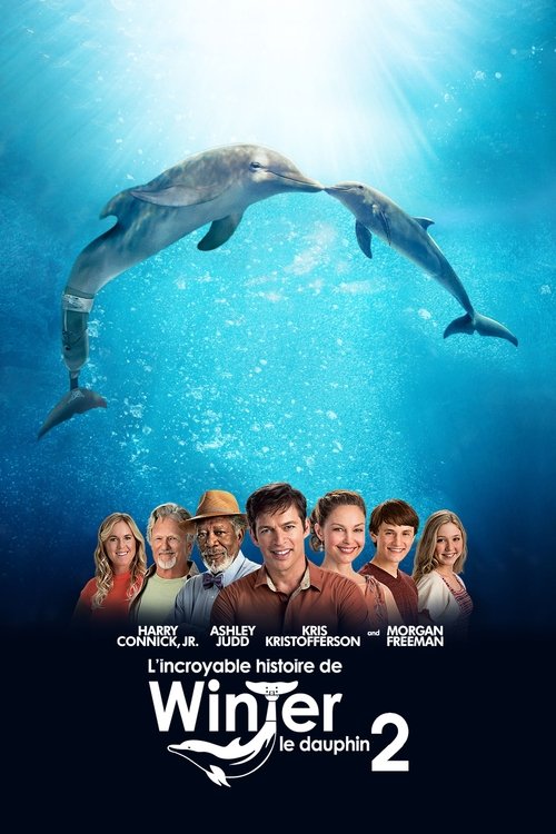 Affiche du film Dolphin Tale 2