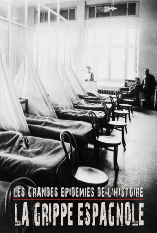 Les grandes épidémies de l'histoire : la grippe espagnole (2018)