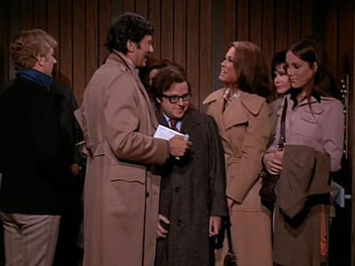 Poster della serie The Mary Tyler Moore Show