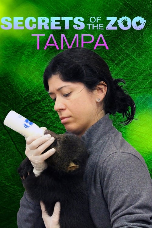 Where to stream Secrets of the Zoo: Tampa Season 4