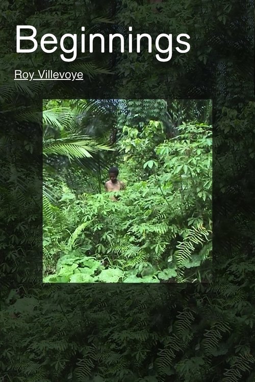 Beginnings movie poster