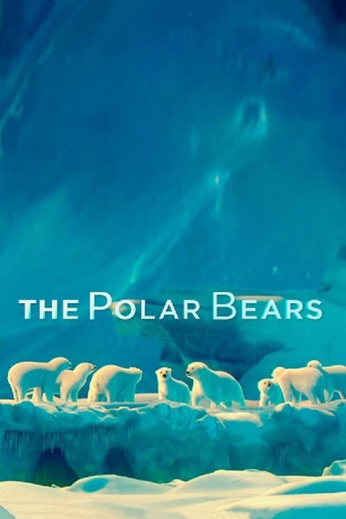 The Polar Bears 2012