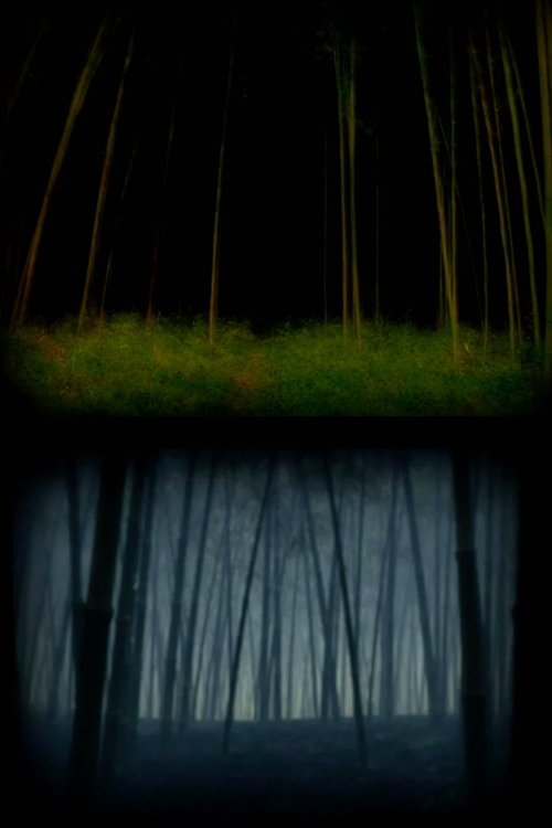 The Wandering Soul (2021) poster