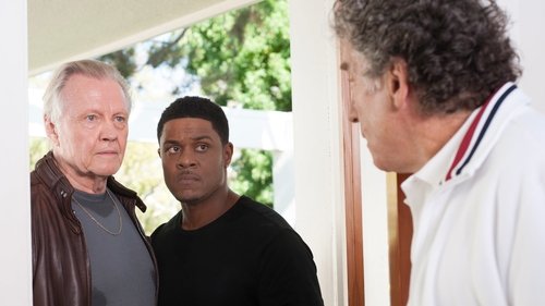 Ray Donovan: 2×12