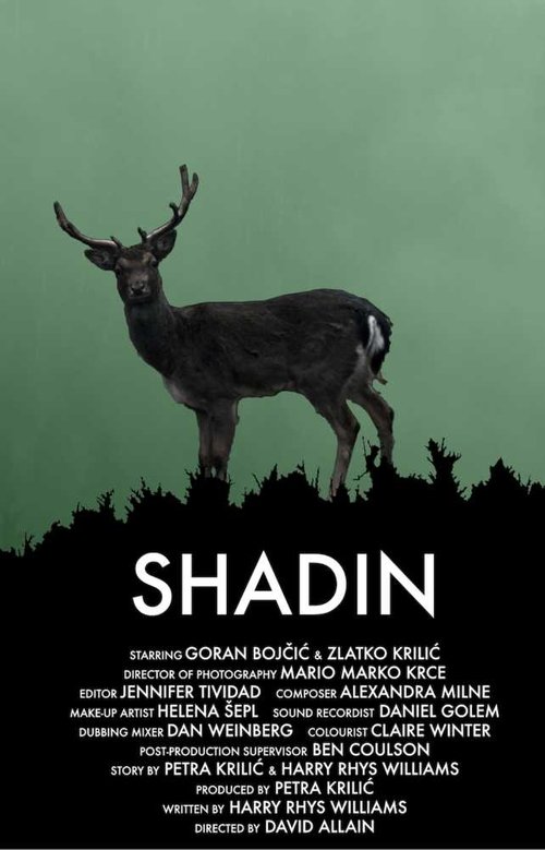 Shadin movie poster player