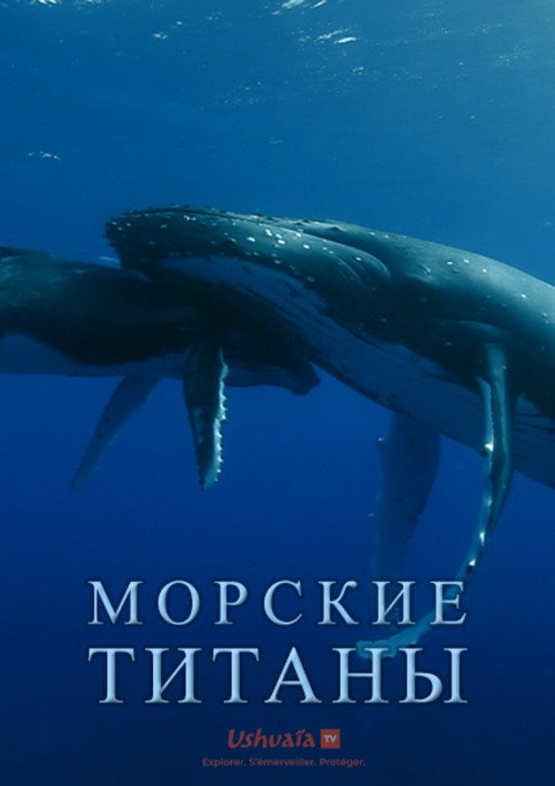 Морские титаны