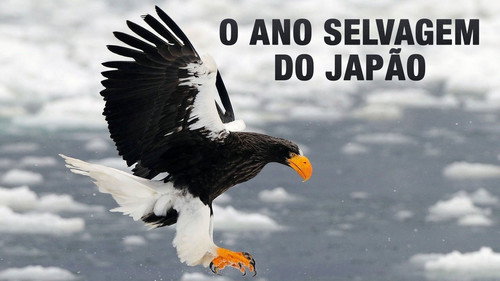 Japan's Wild Year — Backdrops 2