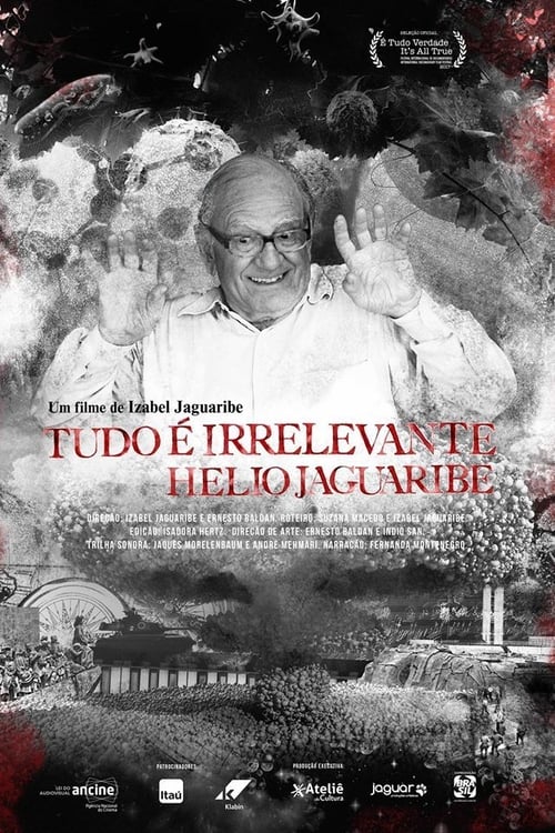 Tudo é Irrelevante. Hélio Jaguaribe (2017)