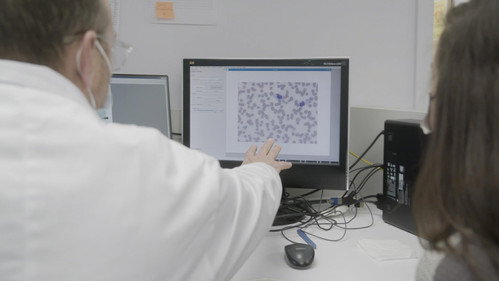 Climat déréglé, santé en danger