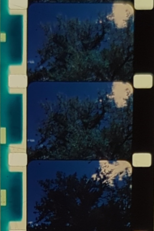 Englewood Cottonwood (1997) poster