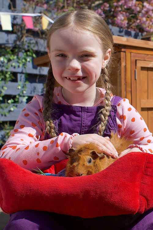 Olga da Polga (2022) poster