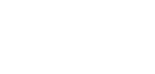 Due South