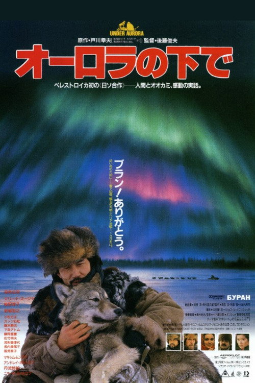 Aurora Borealis poster