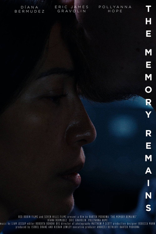 The Memory Remains