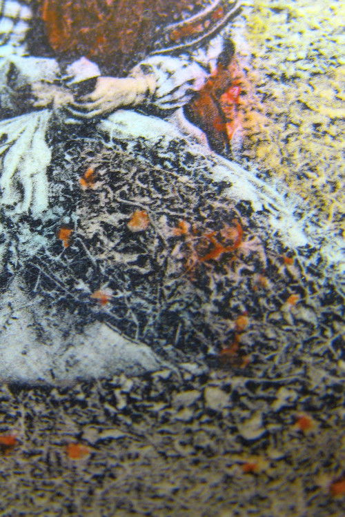 Foto de MilleFeuille