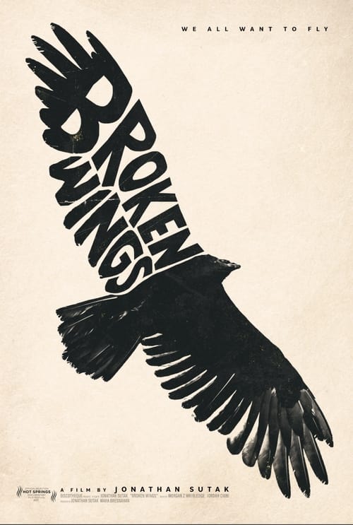 Broken Wings (2022) Poster