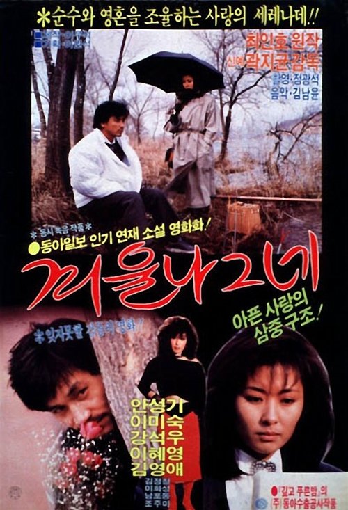 겨울 나그네 movie poster player