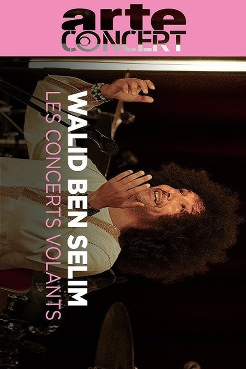 Walid Ben Selim Les Concerts Volants